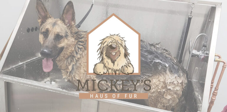 Mickeys Haus of Fur 768x379