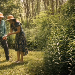 Herbs for Women’s Health 40+